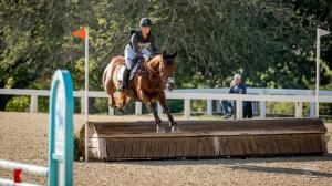 Sekt, Amy Faison, Retired Racehorse Project, Thoroughbred Makeover, Erin Gilmore Photography, America's Best Racing, horse racing, ABR
